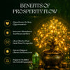 Prosperity Flow Subscription - Unlocking Abundance + Wealth & Opportunity Circle